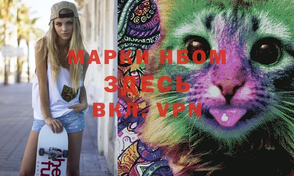 гашик Михайловка
