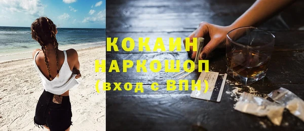 гашик Михайловка
