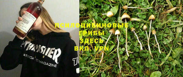 прущая мука Михайлов
